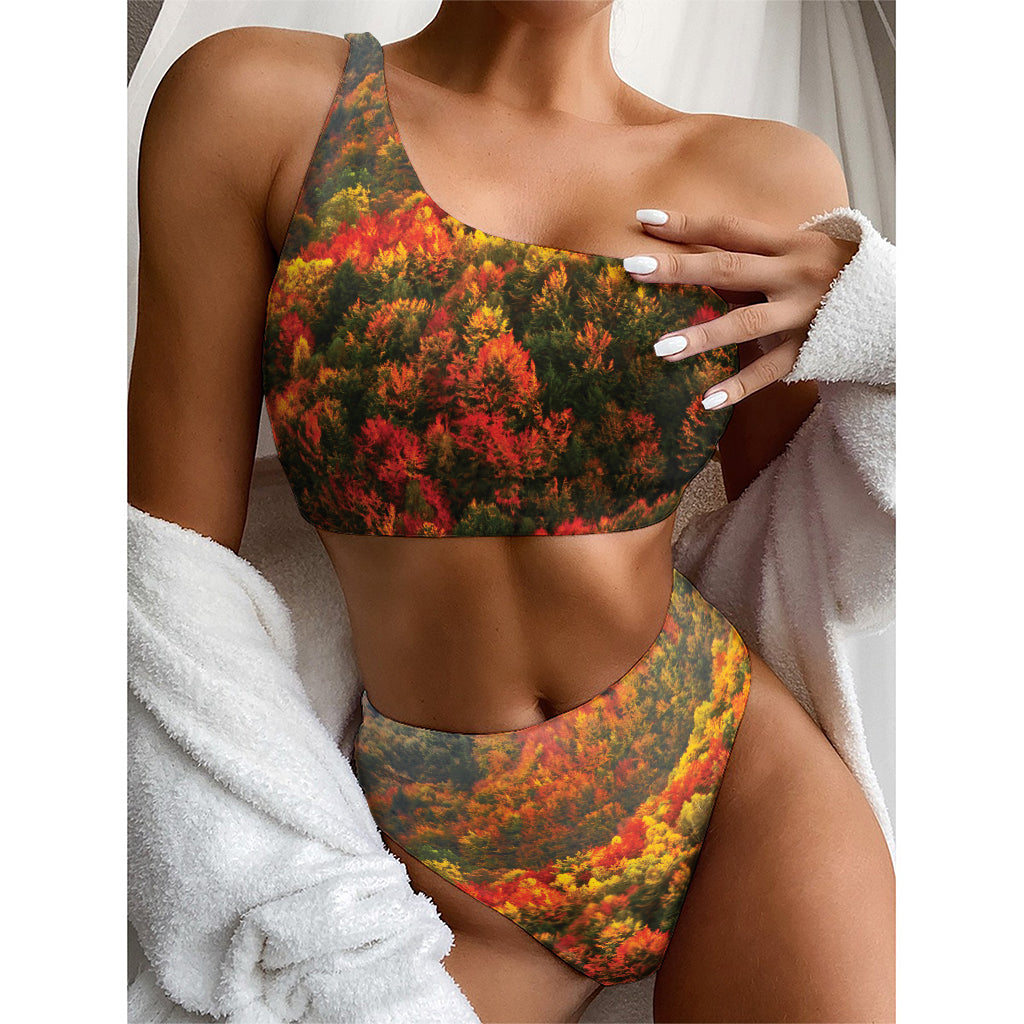 Autumn Mountain Print One Shoulder Bikini Top