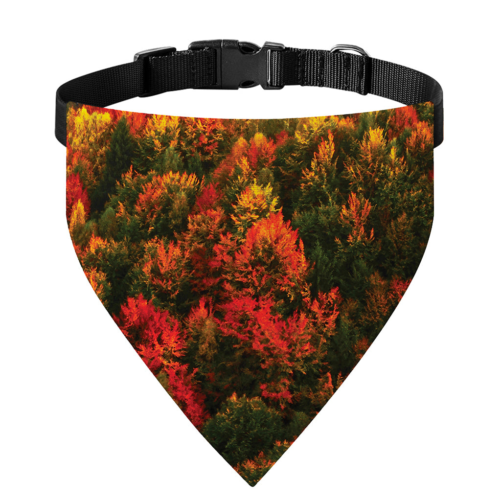 Autumn Mountain Print Over The Collar Dog Bandana