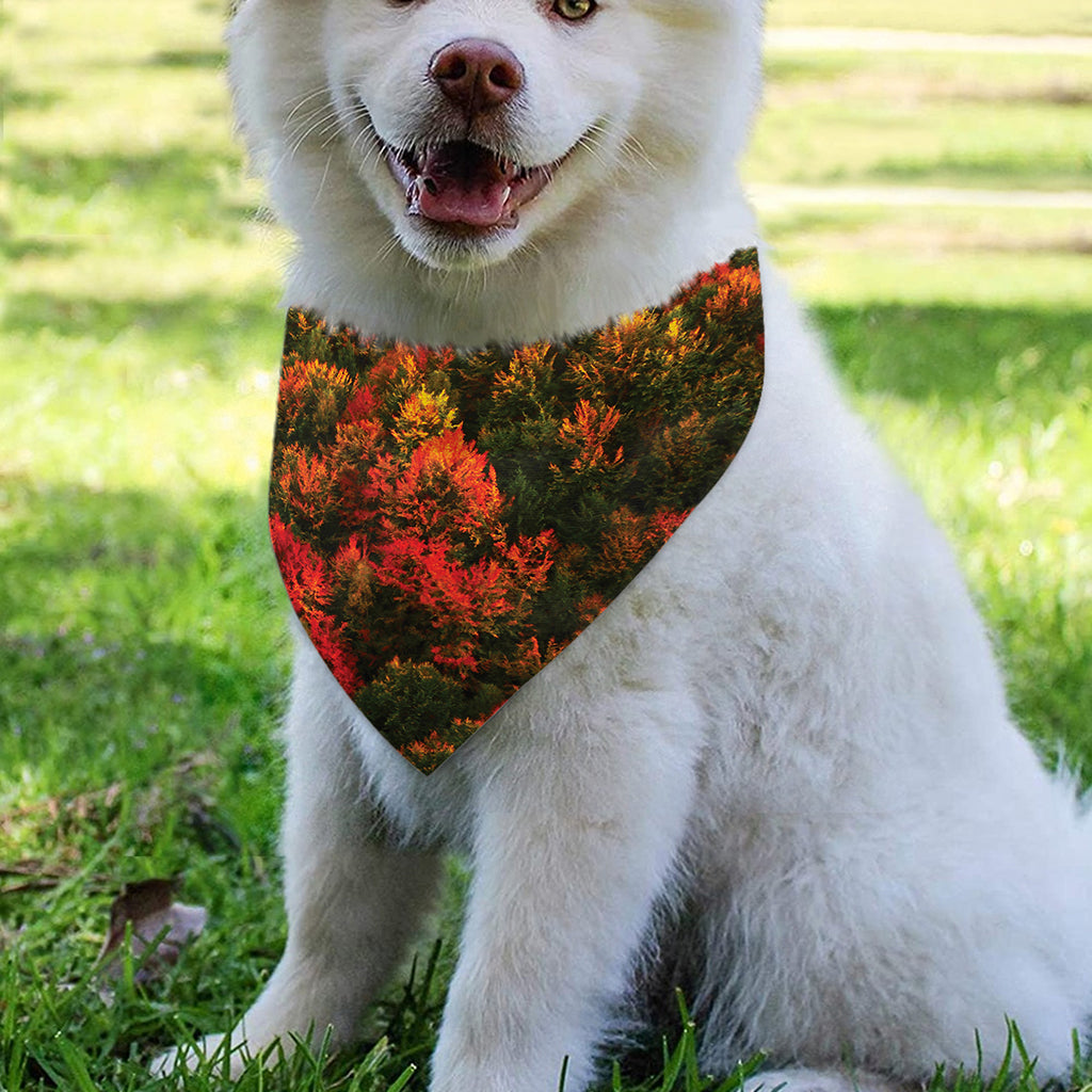 Autumn Mountain Print Over The Collar Dog Bandana