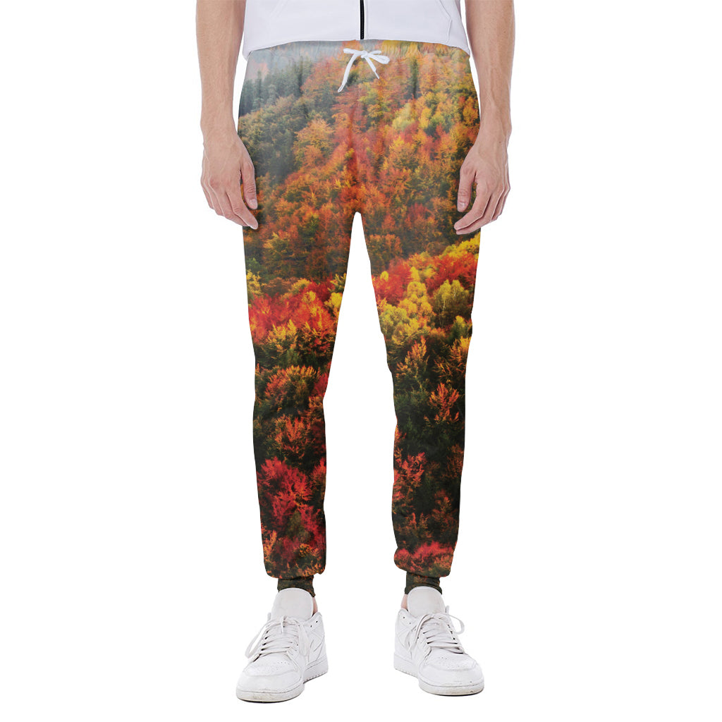 Autumn Mountain Print Scuba Joggers