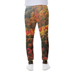 Autumn Mountain Print Scuba Joggers