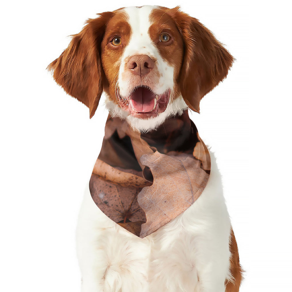 Autumn Oak leaf Print Dog Bandana