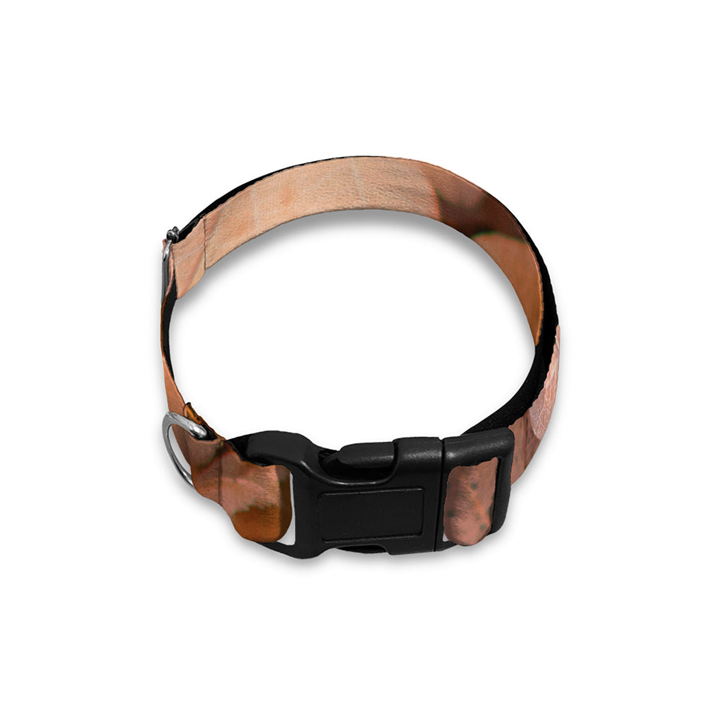 Autumn Oak leaf Print Dog Collar