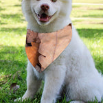 Autumn Oak leaf Print Over The Collar Dog Bandana