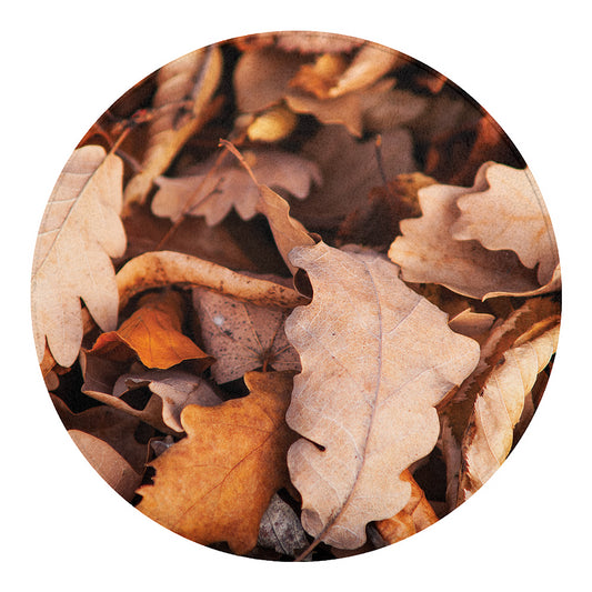 Autumn Oak leaf Print Round Blanket