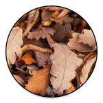 Autumn Oak leaf Print Round Floor Mat