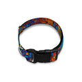 Autumn Painting Print Dog Collar