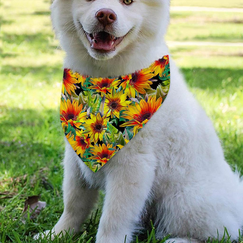 Autumn Sunflower Pattern Print Over The Collar Dog Bandana