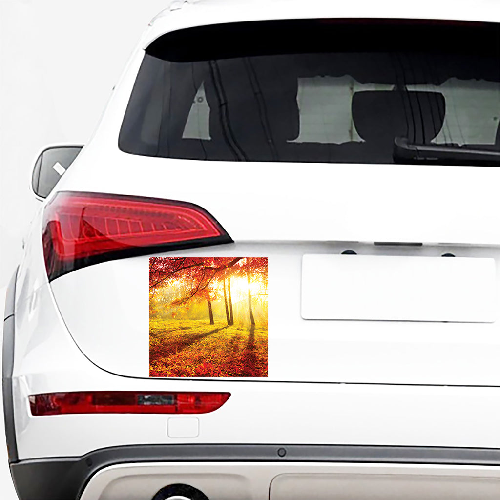 Autumn Trees Print Car Sticker