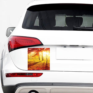 Autumn Trees Print Car Sticker