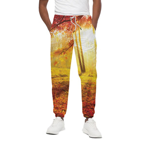 Autumn Trees Print Cotton Pants