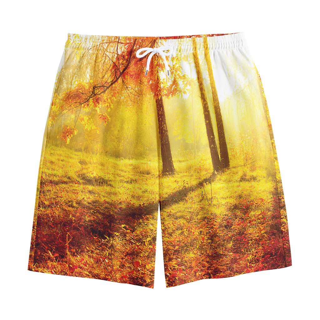 Autumn Trees Print Cotton Shorts