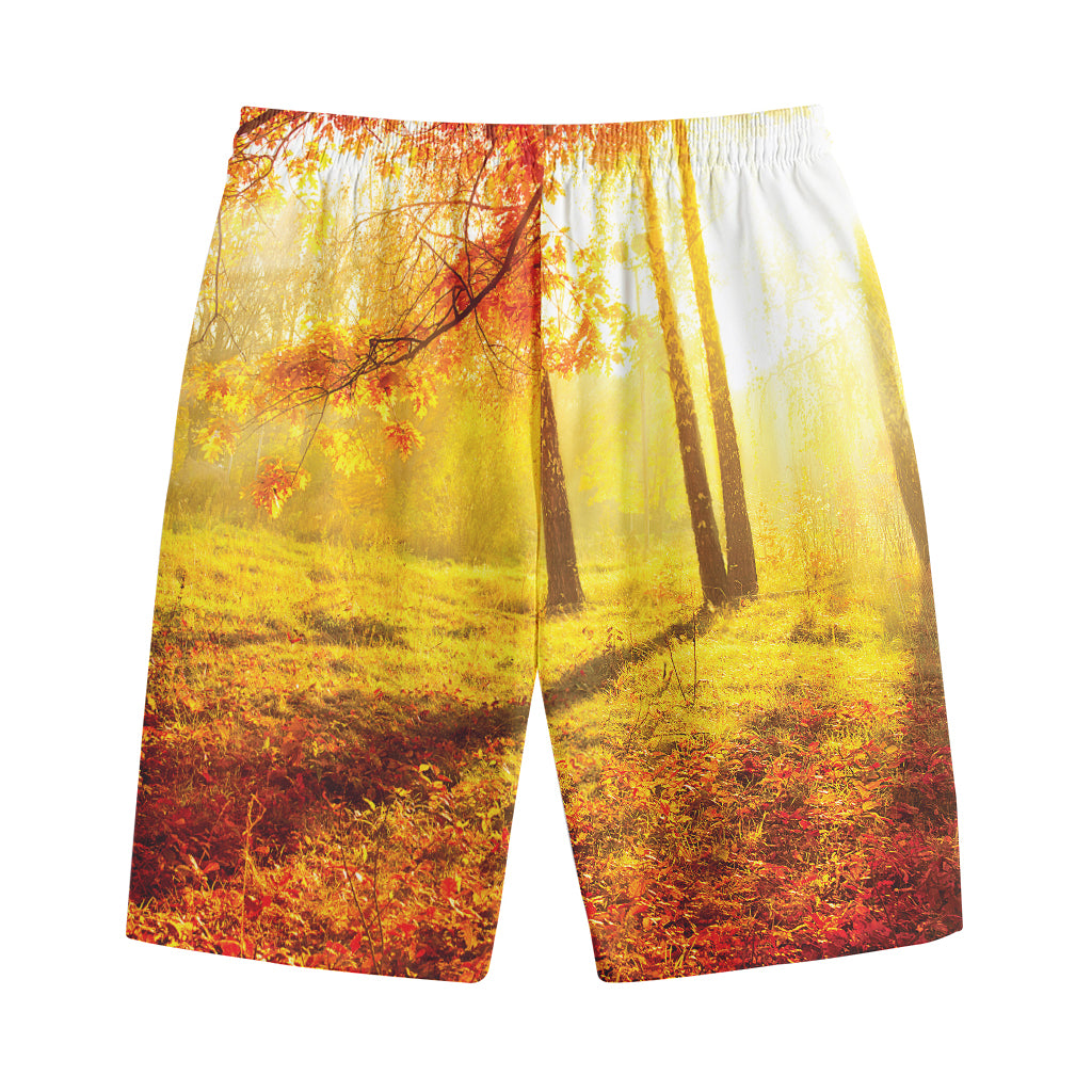 Autumn Trees Print Cotton Shorts