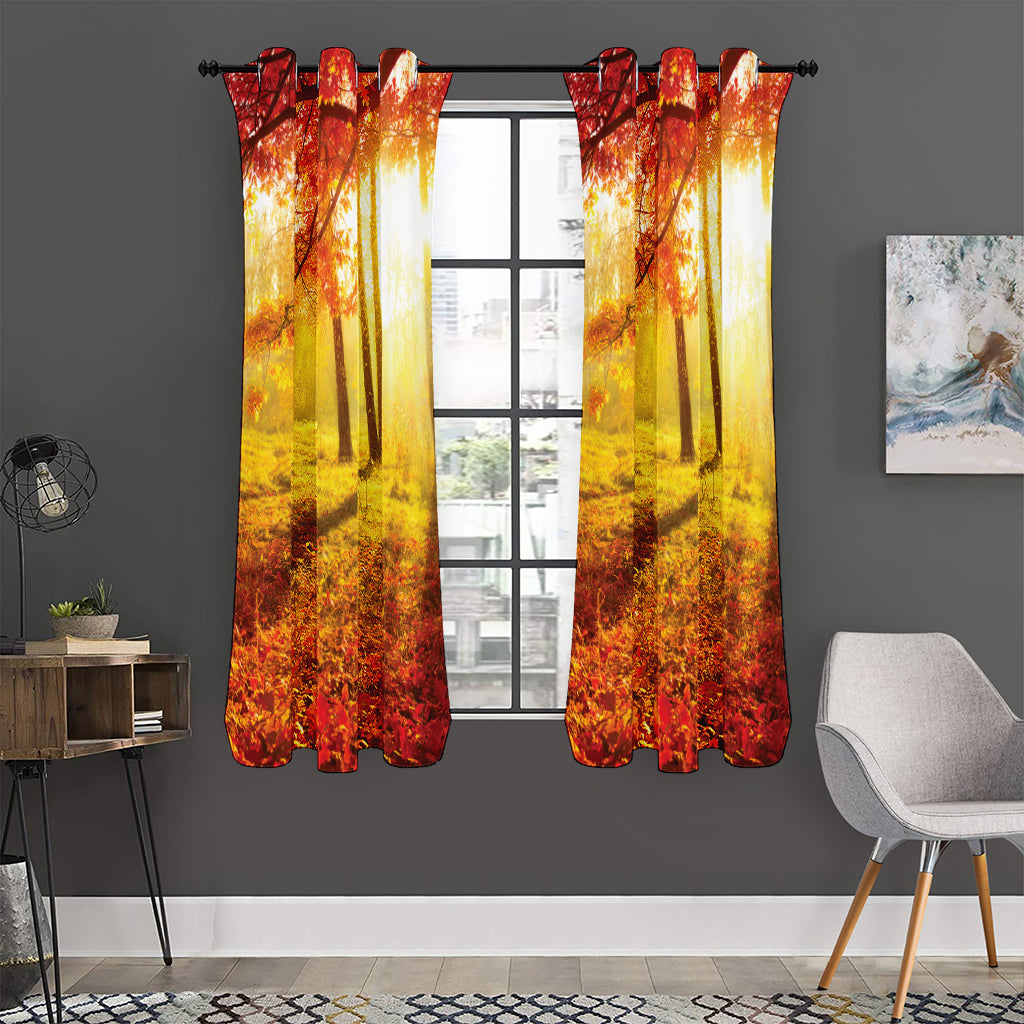 Autumn Trees Print Curtain