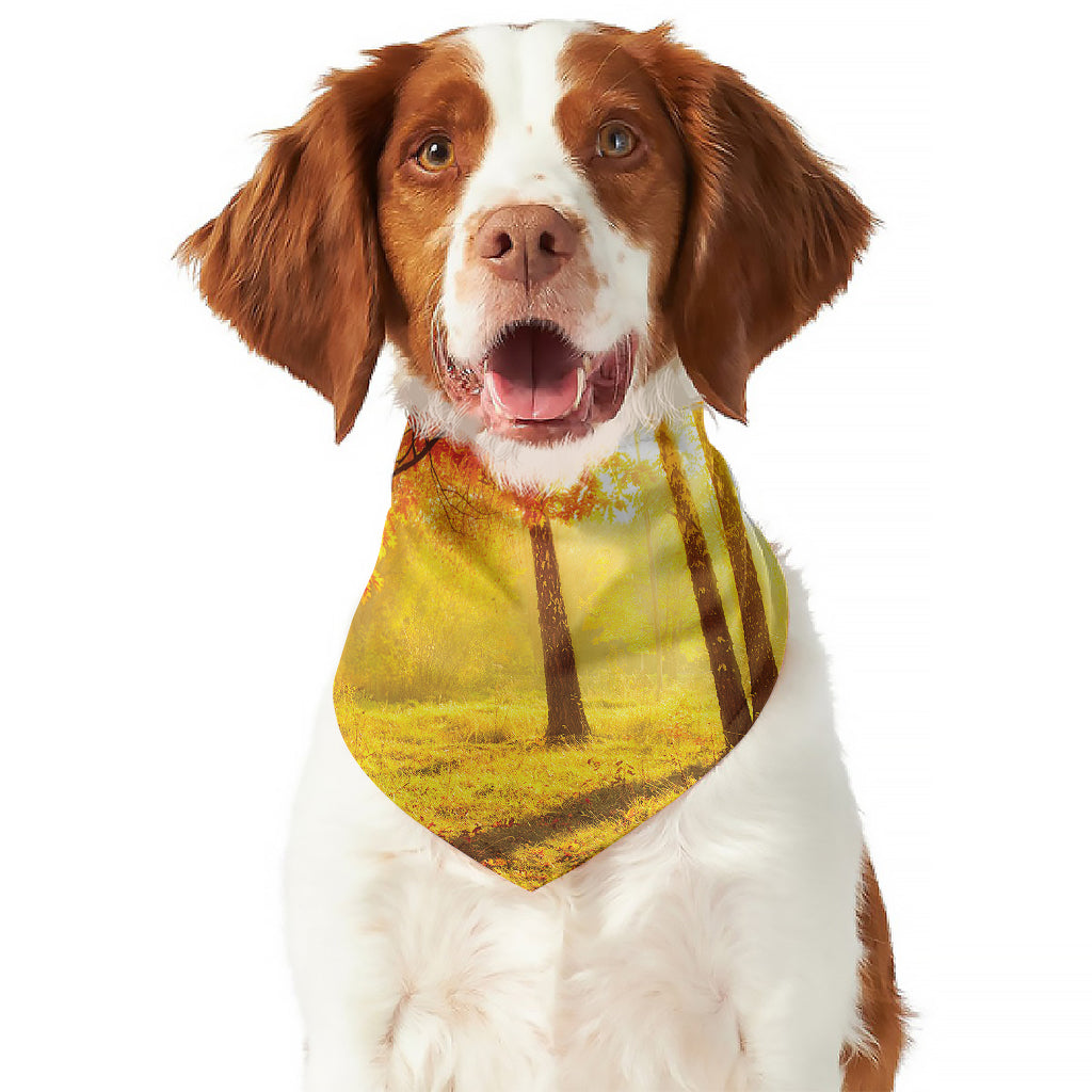 Autumn Trees Print Dog Bandana