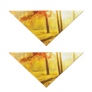 Autumn Trees Print Dog Bandana