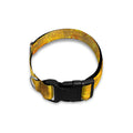 Autumn Trees Print Dog Collar