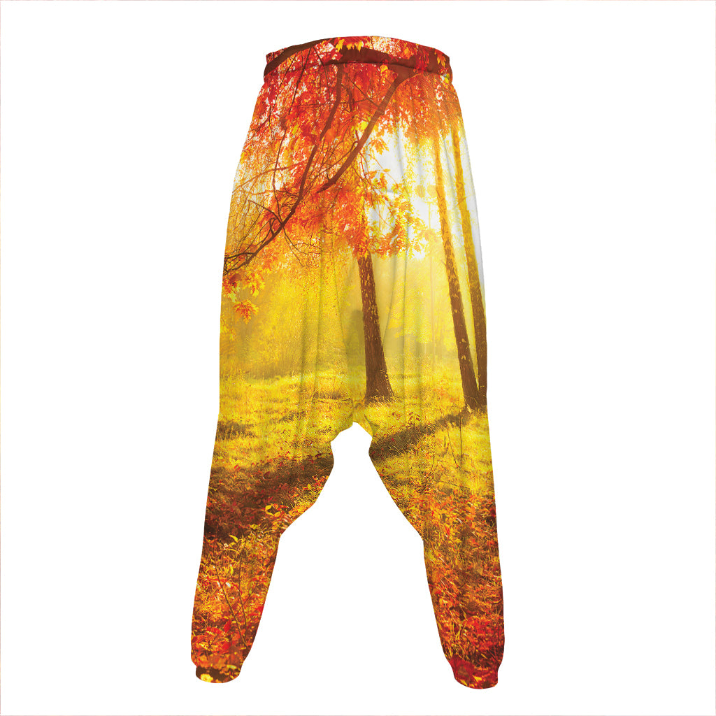 Autumn Trees Print Hammer Pants