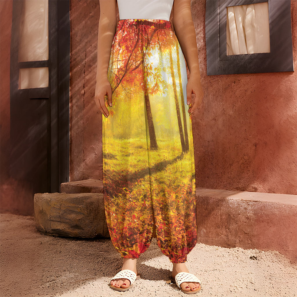Autumn Trees Print Harem Pants