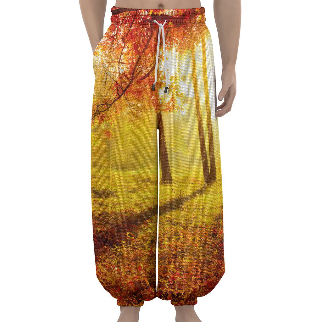 Autumn Trees Print Lantern Pants