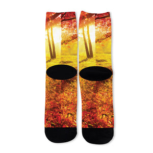 Autumn Trees Print Long Socks