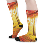 Autumn Trees Print Long Socks