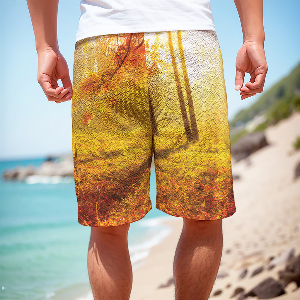 Autumn Trees Print Men's Cargo Shorts