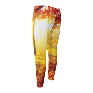 Autumn Trees Print Men's Compression Pants