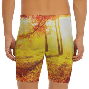 Autumn Trees Print Men's Long Boxer Briefs