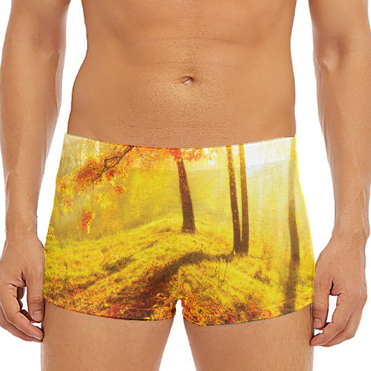 Autumn Trees Print Men's Short Boxer Briefs