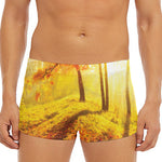 Autumn Trees Print Men's Short Boxer Briefs