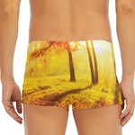 Autumn Trees Print Men's Short Boxer Briefs