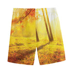 Autumn Trees Print Men's Sports Shorts