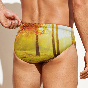 Autumn Trees Print Men's Swim Briefs