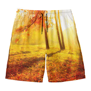 Autumn Trees Print Men's Swim Trunks