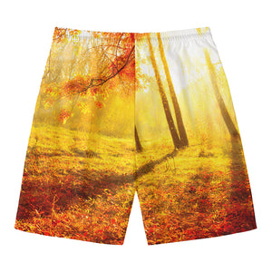 Autumn Trees Print Men's Swim Trunks