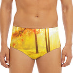Autumn Trees Print Men's Triangle Swim Briefs