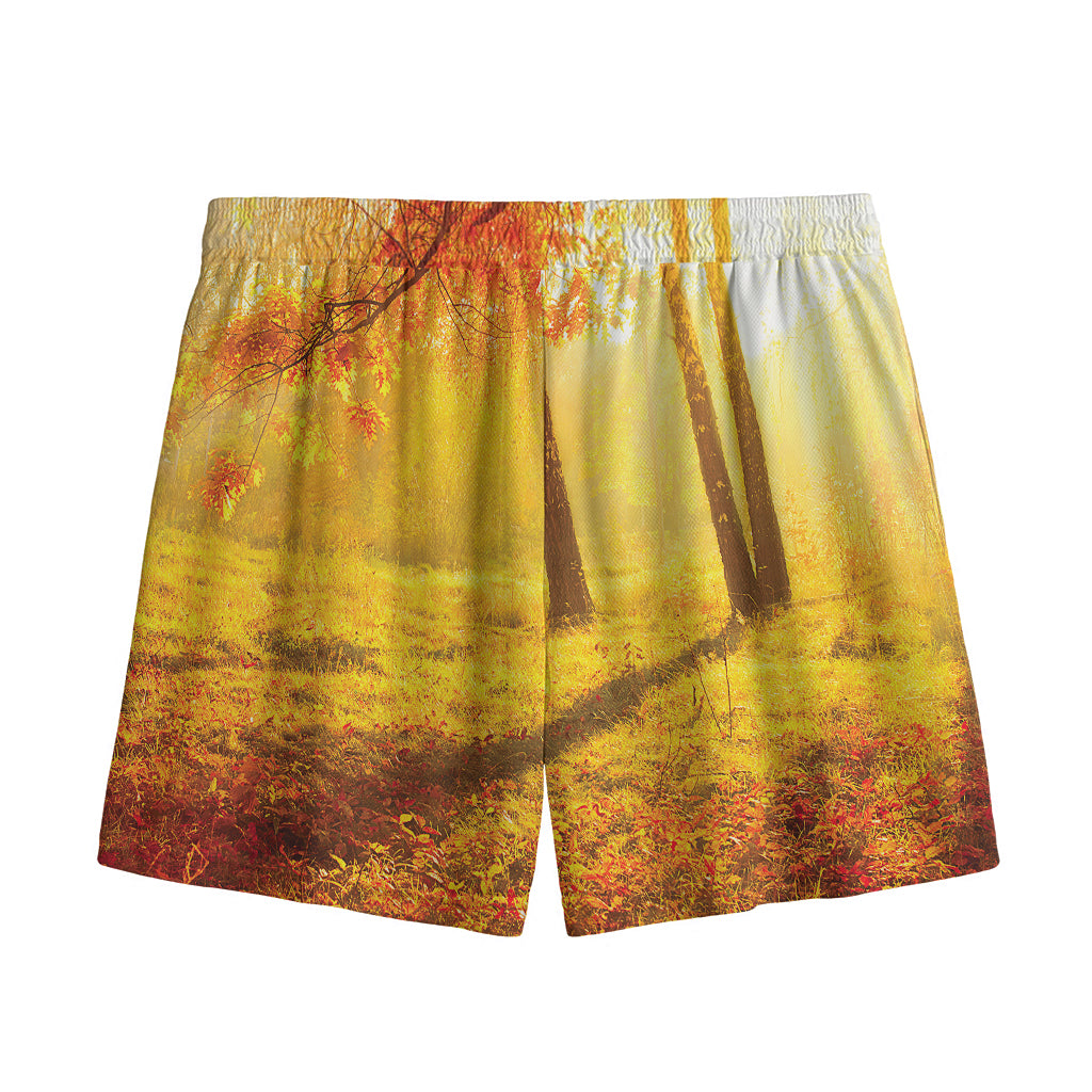 Autumn Trees Print Mesh Shorts