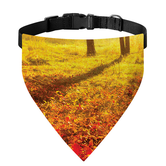 Autumn Trees Print Over The Collar Dog Bandana