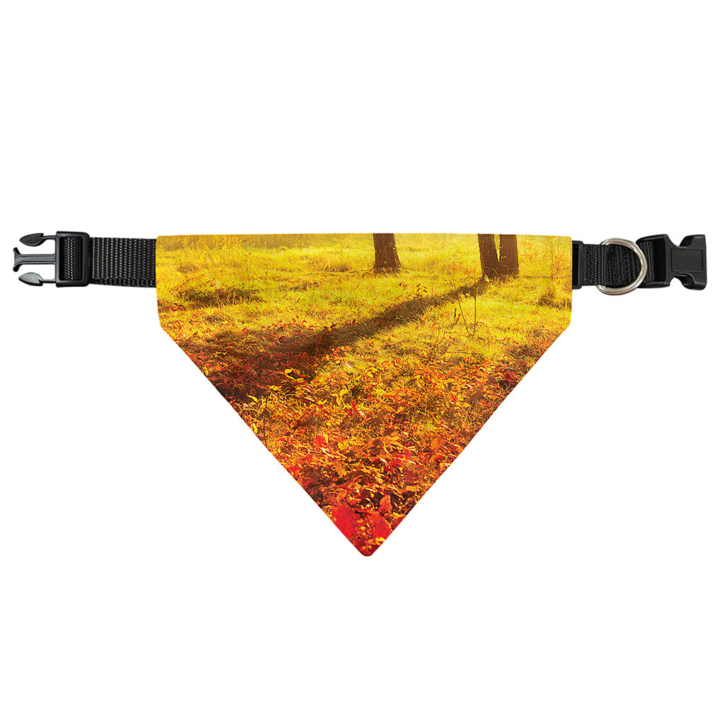 Autumn Trees Print Over The Collar Dog Bandana