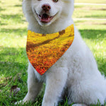 Autumn Trees Print Over The Collar Dog Bandana