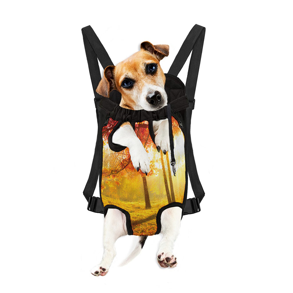 Autumn Trees Print Pet Carrier Backpack