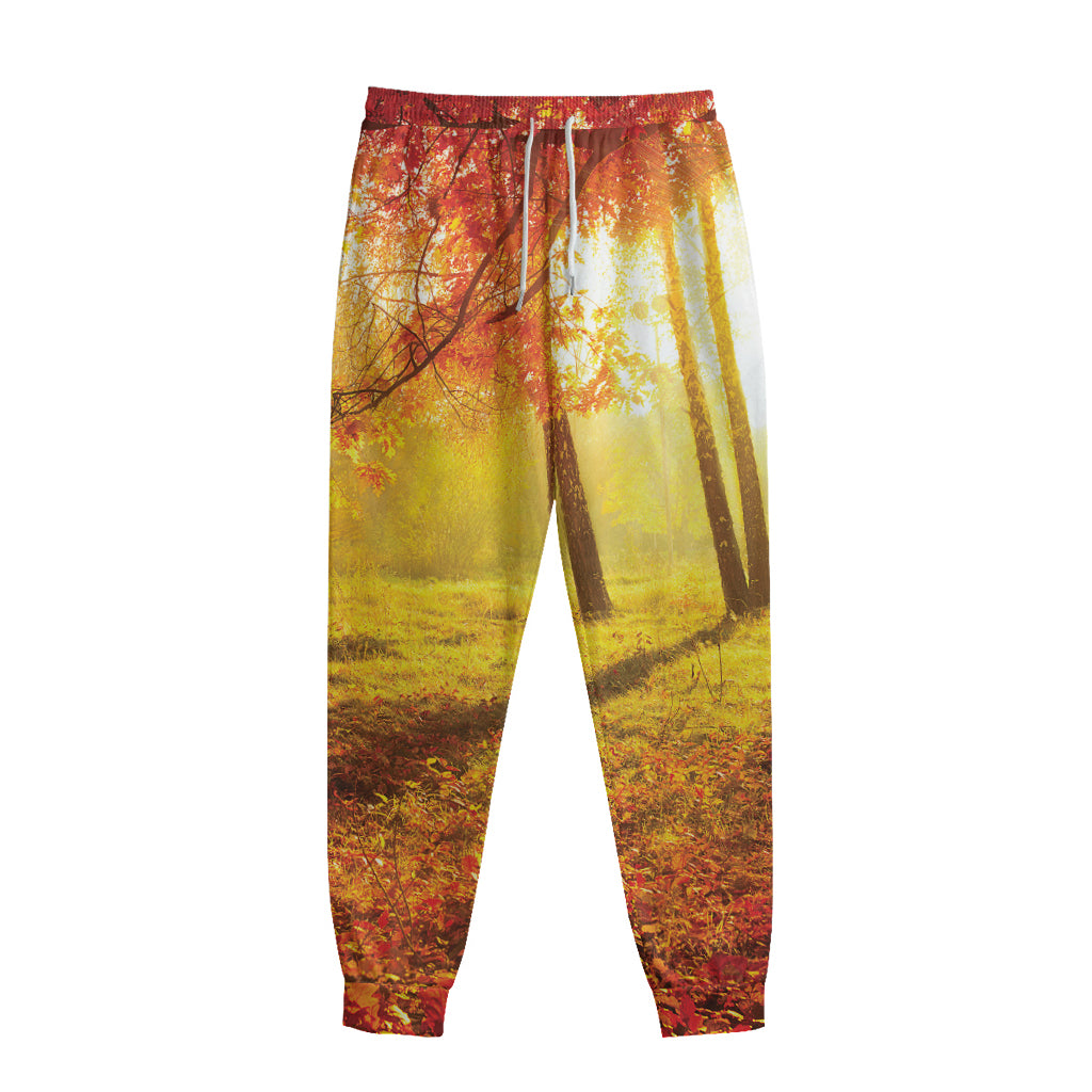 Autumn Trees Print Sweatpants