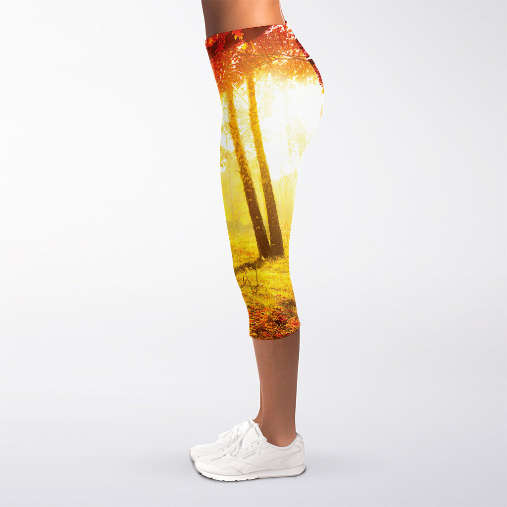 Autumn Trees Print Women's Capri Leggings