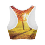 Autumn Trees Print Women's Sports Bra