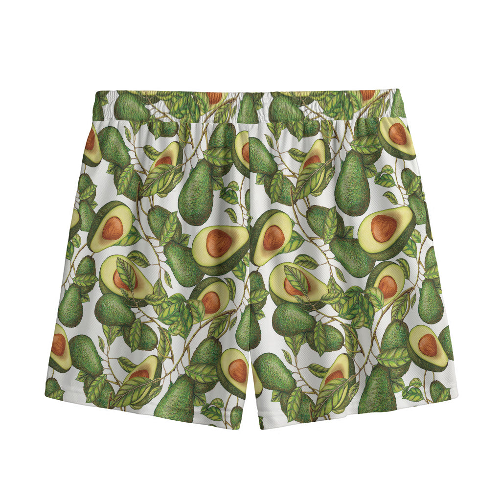 Avocado Cut In Half Drawing Print Mesh Shorts