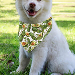 Avocado Cut In Half Drawing Print Over The Collar Dog Bandana