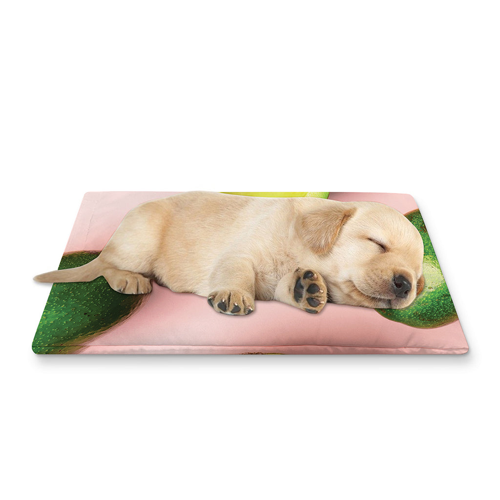 Avocado Cut In Half Pattern Print Pet Cooling Mat Cover