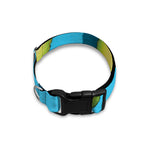 Avocado Cut In Half Print Dog Collar