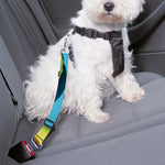 Avocado Cut In Half Print Dog Seat Belt